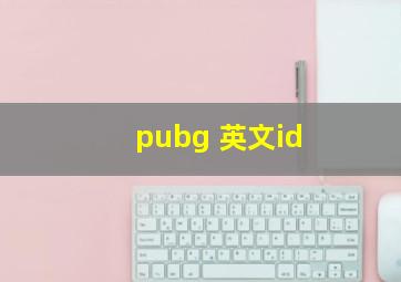 pubg 英文id